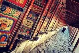 不图回报，反而有大回报！（看完令人醒悟）图片