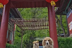 2020年闰四月有什么讲究呢？图片