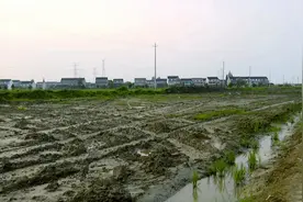 泰兴这两条路又有最新进展图片