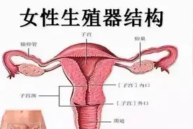来“大姨妈”有血块是宫寒吗？这才是真相图片