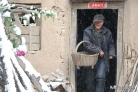 8旬大爷地坑院里养头27岁“大宠物”，冒雪给它找吃的，养的啥图片