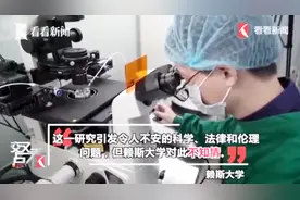 贺建奎制造基因编辑婴儿，美国导师涉参与研究遭赖斯大学全面调查视频封面