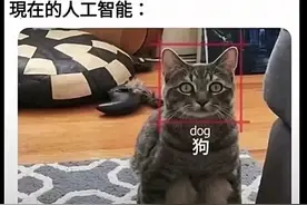 人间真实系列3，哈哈哈最后一个超搞笑图片