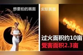 浪漫成灾难！情侣山顶看流星雨放烟花引发森林火灾图片