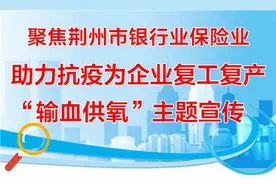 「荆州市银行业保险业助力企业复工复产16」湖北银行荆州分行“心连心”让企业的春天更温暖图片
