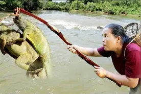 荒野生存：胡大妈饥饿难耐，偶遇变色龙，大妈直接捉来上火烤