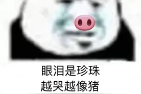 「表情包来咯」忙着追逐天空中的流星图片