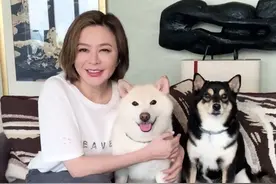 关之琳自曝家庭成员是两只狗，独自一人住上亿别墅，58岁仍单身图片