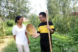 小伙700分考上清华，花30元喝牛肉汤庆祝，领完通知书下地干活图片