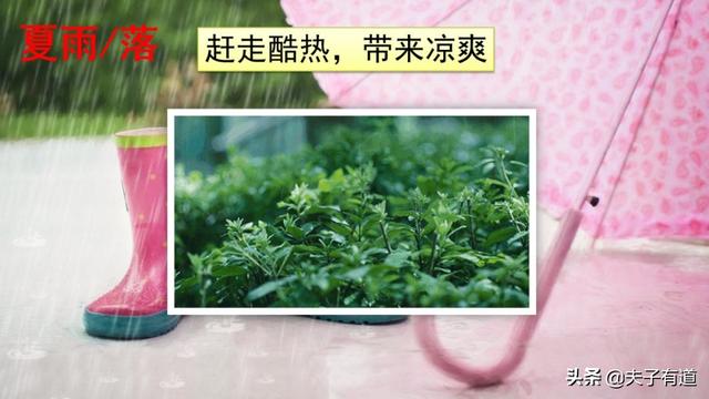 部编版一年级下册语文《春夏秋冬》知识点+图文讲解，给孩子预习