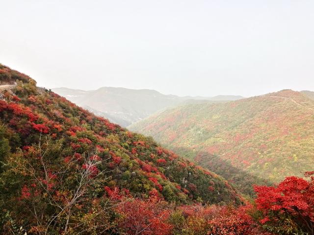 只有10%广东人才知道的粤北“云海天池红叶”，让人一眼沦陷