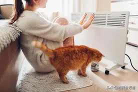 取暖器抽检报告：南极人、荣事达、三角牌、菊花、扬子、骆驼等上黑榜图片