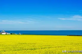 七月青海湖，走进“万户消失的女王之地”图片