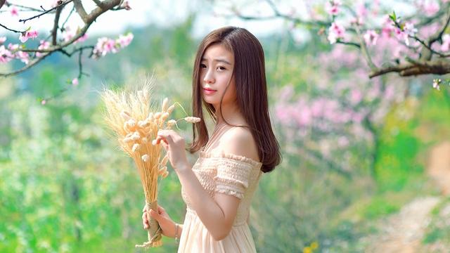 「情感散文」爱情，如一朵凋零的蔷薇花