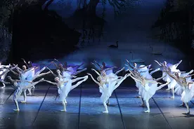 芭蕾天鹅湖，王子公主爱情故事图片