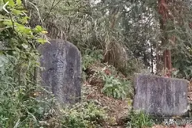 重庆彭水县远离唐朝皇室中心，郁山镇对面的一个山包上却有太子墓图片