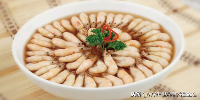 悦恣胶原肽复合果蔬片怎么吃 2026年悦恣胶原肽复合酵素片副作用