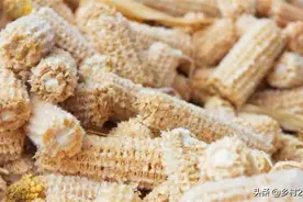 玉米芯作用大，很多小贩抢着下乡收购玉米芯图片