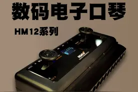 全球第1款数码口琴墨兹卡HM12即将发布图片