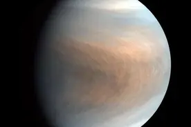 好消息！科学家宣布在金星上发现疑似生命存在的迹象图片