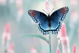 暖心句子：让我们一起变成更好的人，成为彼此的骄傲图片