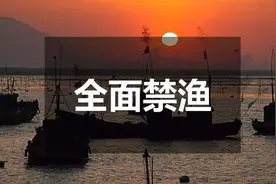 【长江大保护】襄阳公安在汉江水域开展禁渔巡查图片