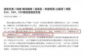 资料核验通过率不足30%！火爆楼市下这个“操作”你服不服？图片