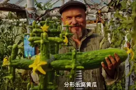 大学读了这专业，我在别人眼里就没洋气过图片