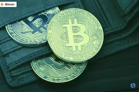 矿视界译文：比特币存放在哪里最安全？图片