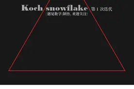 奇妙分形：大自然的代码图片