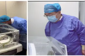 罕见！超低体重仅400克早产儿出生，四肢仅有成人小拇指粗视频封面