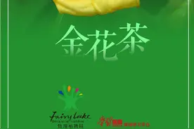 金花茶：耀眼夺目的“茶族皇后”图片