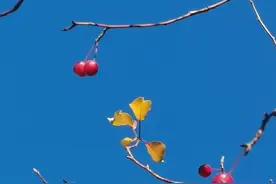 单位24小时值班太闷了，做什么好呢？图片