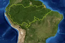 亚马逊雨林被称为人类的禁区，为什么不敢去，里面究竟有多恐怖？图片