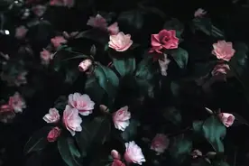 你“瞧不起”的这3种人，正在默默赚大钱，只是藏得很深图片