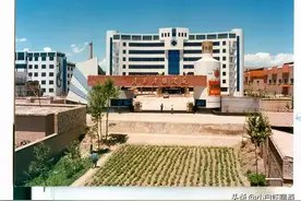 青海4款口感不错的白酒，被当地人喝到上市，外地人：听都没听过图片