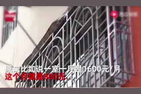 深圳女房东火了，她有1200套房！每月收租金160万，这就是差距图片