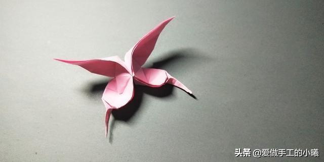 折纸回顾：动物折纸图片欣赏，看看自己会哪几种