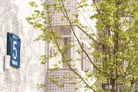 校园生活vlog，听说你也是主角！图片