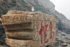 大连蛇岛：蛇吃鼠半年，鼠吃蛇半年，为何不人工喂食？图片