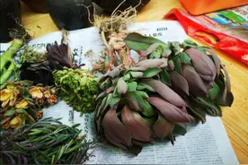 心心念念的法师多肉总算到啦！今年买啦好多多肉，这个春天剁手啦图片