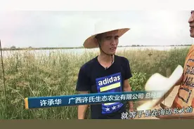 被央视“曝光”的海鸭蛋，为什么一戳就流油？真相原来这么简单图片