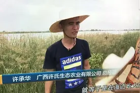 被央视“曝光”的海鸭蛋，为什么一戳就流油？真相原来这么简单图片