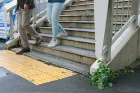 日本路边惊现大萝卜！没想到刚爆红网络就被连根拔走，换成了大葱图片