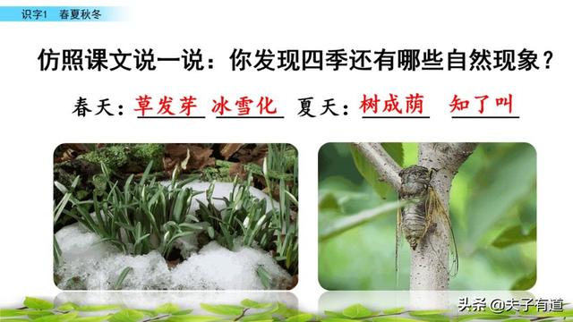 部编版一年级下册语文《春夏秋冬》知识点+图文讲解，给孩子预习