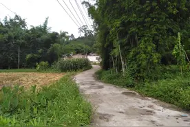 广西北流这小村，与玉林市陆川县相邻，有些趣事你不一定知道图片