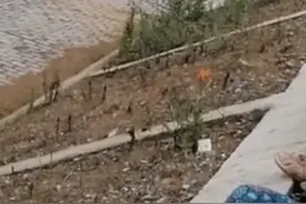 湖北宜昌洞口水库放水，居民下河捞鱼一人死亡一人失踪图片