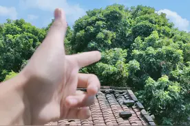 举报父母“逼婚”的17岁少女已中考，父母表示愿意支持女儿完成学业图片