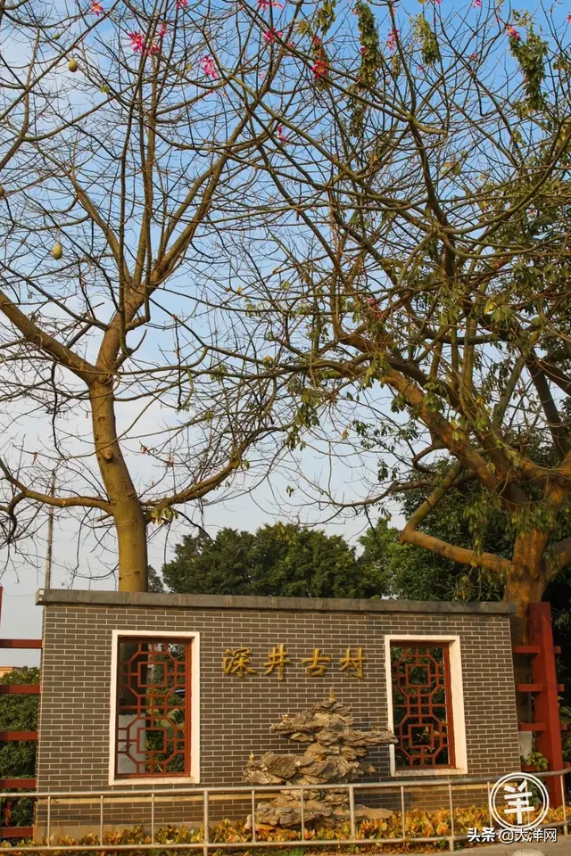 去长洲岛，带你看诗和远方