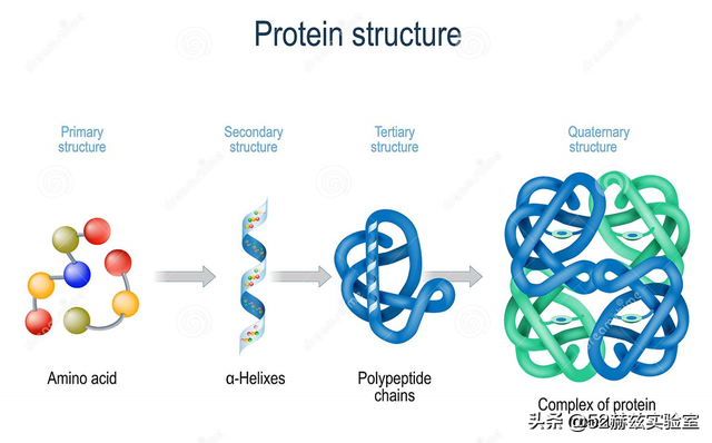 农科院一氧化碳合成蛋白质是怎么做到的？对中国有多大的意义？